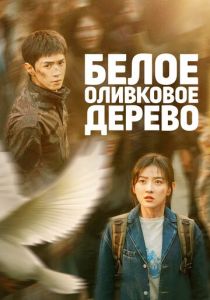 Белое оливковое дерево (Сериал 2025)